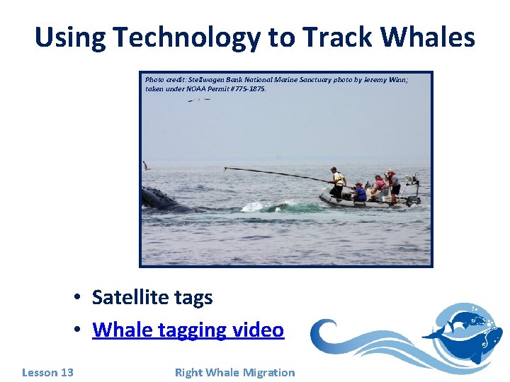 Using Technology to Track Whales Photo credit: Stellwagen Bank National Marine Sanctuary photo by