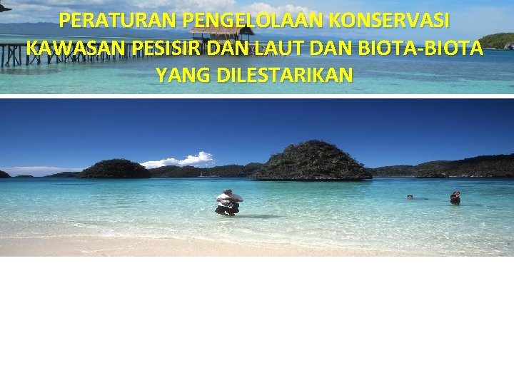 PERATURAN PENGELOLAAN KONSERVASI KAWASAN PESISIR DAN LAUT DAN BIOTA-BIOTA YANG DILESTARIKAN 