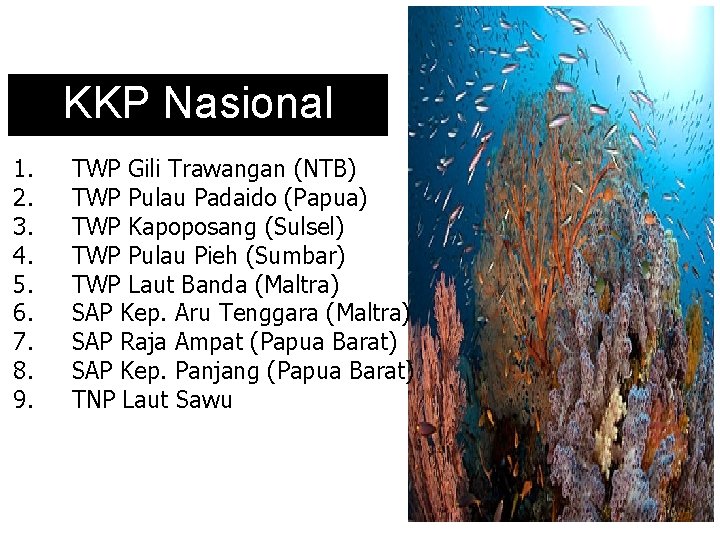 KKP Nasional 1. 2. 3. 4. 5. 6. 7. 8. 9. TWP Gili Trawangan