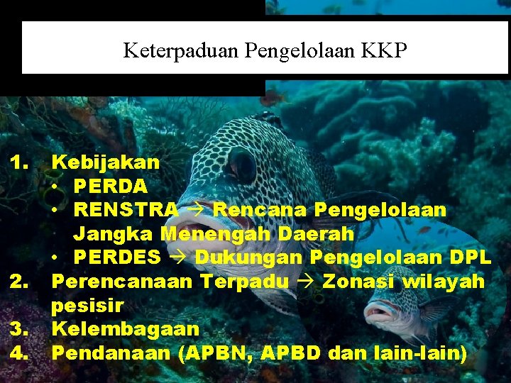 Keterpaduan Pengelolaan KKP 1. 2. 3. 4. Kebijakan • PERDA • RENSTRA Rencana Pengelolaan