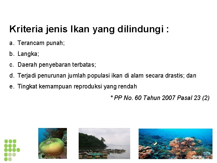 Kriteria jenis Ikan yang dilindungi : a. Terancam punah; b. Langka; c. Daerah penyebaran