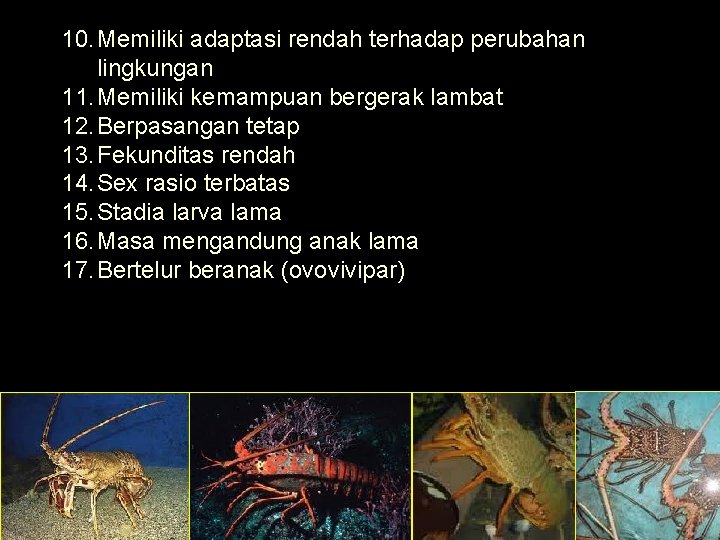 10. Memiliki adaptasi rendah terhadap perubahan lingkungan 11. Memiliki kemampuan bergerak lambat 12. Berpasangan