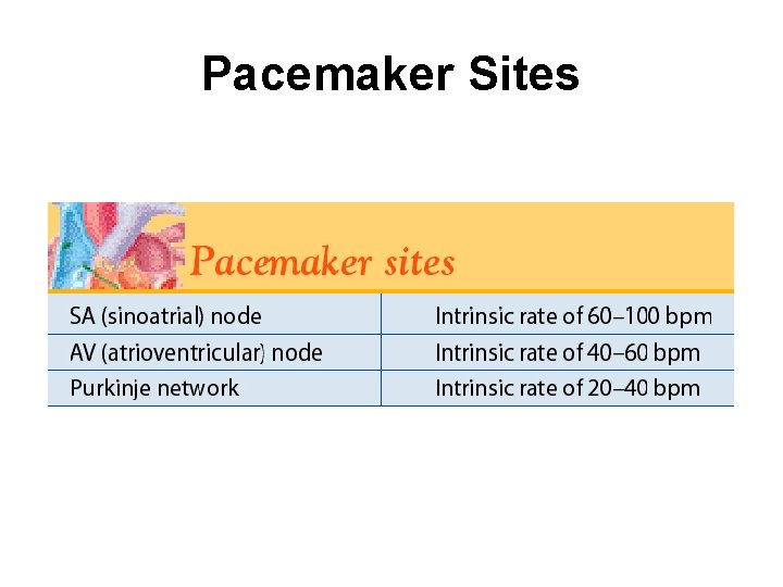 Pacemaker Sites 