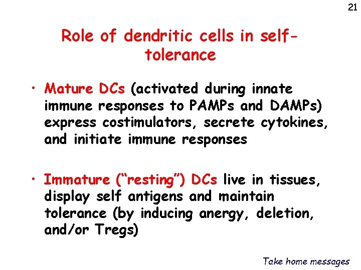 21 Role of dendritic cells in selftolerance • Mature DCs (activated during innate immune
