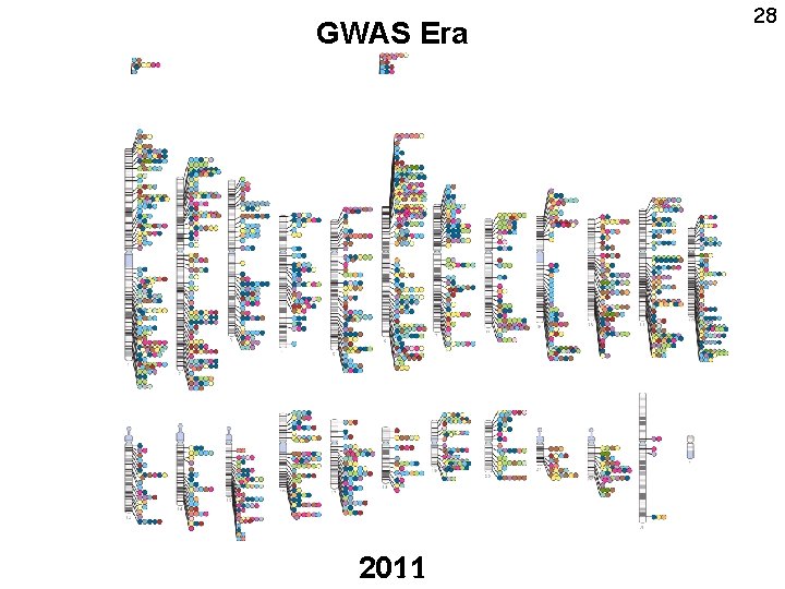 GWAS Era 2005 2009 2011 2007 2014 28 