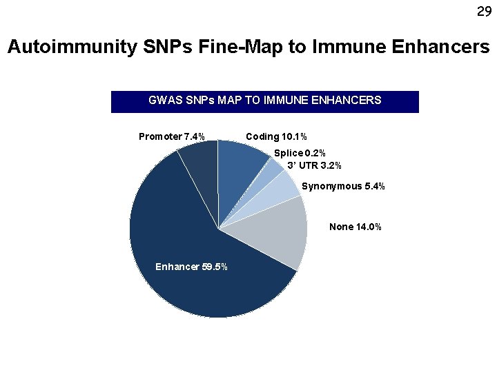 29 Autoimmunity SNPs Fine-Map to Immune Enhancers GWAS SNPs MAP TO IMMUNE ENHANCERS Promoter