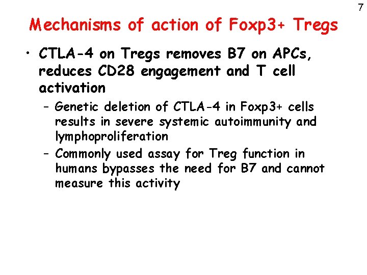 Mechanisms of action of Foxp 3+ Tregs • CTLA-4 on Tregs removes B 7