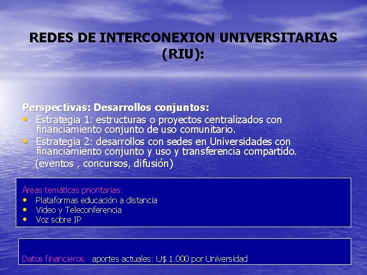 REDES DE INTERCONEXION UNIVERSITARIAS (RIU): Perspectivas: Desarrollos conjuntos: • Estrategia 1: estructuras o proyectos