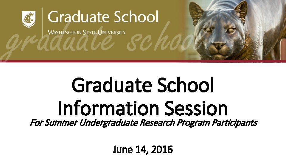 Graduate School Information Session For Summer Undergraduate Research Program Participants June 14, 2016 