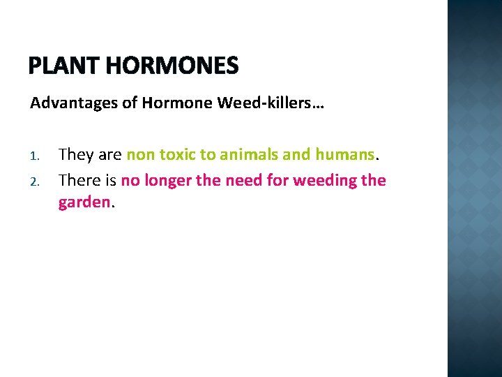 PLANT HORMONES Advantages of Hormone Weed-killers… 1. 2. They are non toxic to animals