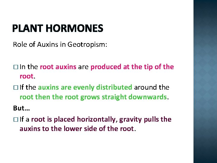 PLANT HORMONES Role of Auxins in Geotropism: � In the root auxins are produced