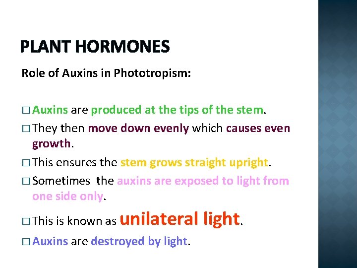 PLANT HORMONES Role of Auxins in Phototropism: � Auxins are produced at the tips