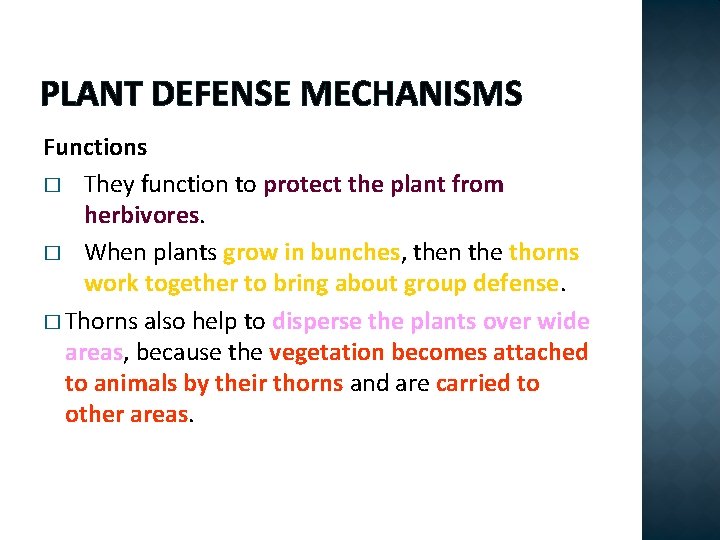PLANT DEFENSE MECHANISMS Functions � They function to protect the plant from herbivores. �
