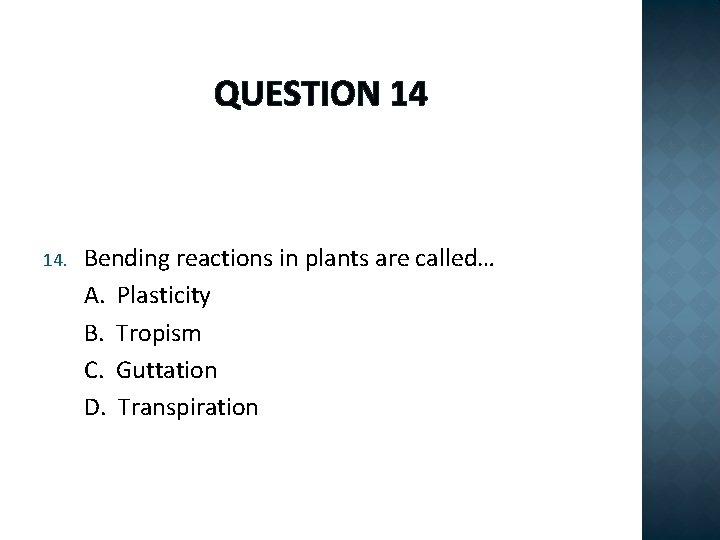 QUESTION 14 14. Bending reactions in plants are called… A. Plasticity B. Tropism C.
