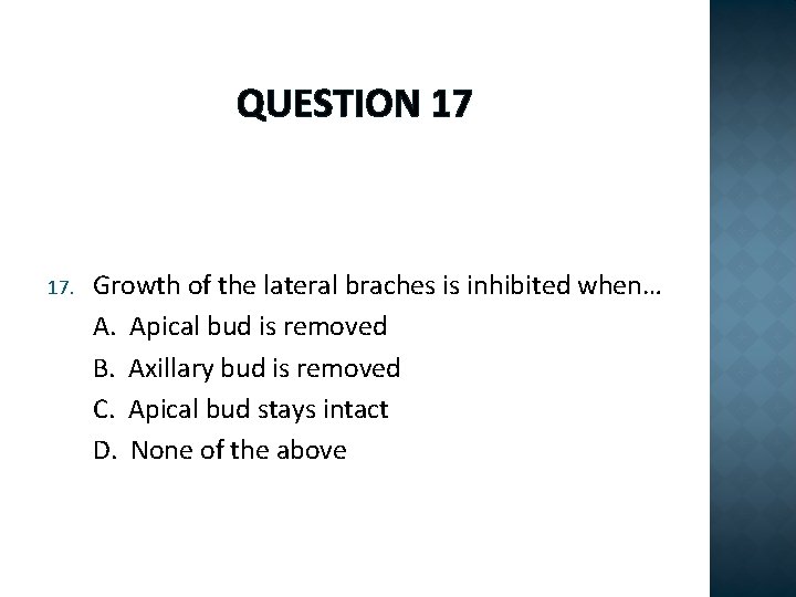 QUESTION 17 17. Growth of the lateral braches is inhibited when… A. Apical bud