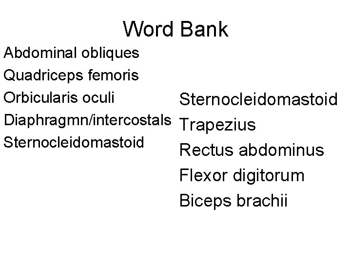 Word Bank Abdominal obliques Quadriceps femoris Orbicularis oculi Sternocleidomastoid Diaphragmn/intercostals Trapezius Sternocleidomastoid Rectus abdominus