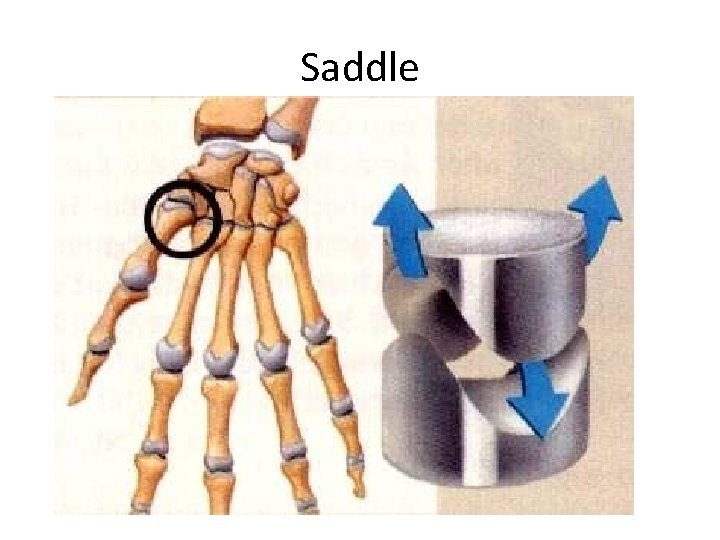 Saddle 