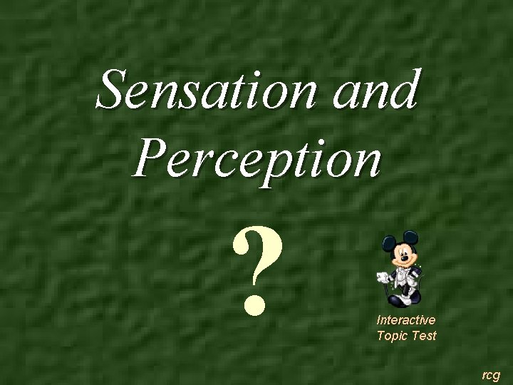 Sensation and Perception ? Interactive Topic Test rcg 