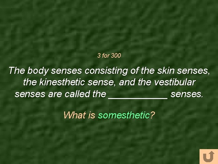 3 for 300 The body senses consisting of the skin senses, the kinesthetic sense,