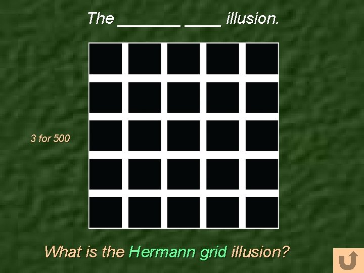 The _______ illusion. 3 for 500 What is the Hermann grid illusion? 