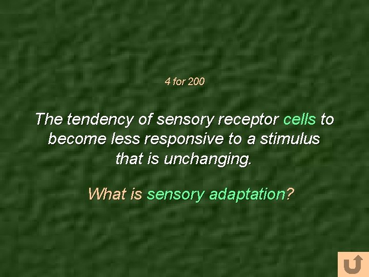 4 for 200 The tendency of sensory receptor cells to become less responsive to