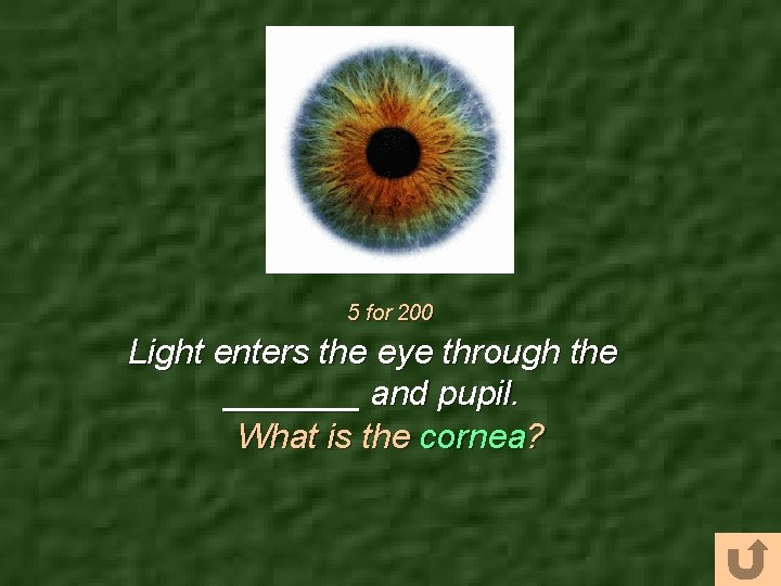 5 for 200 Light enters the eye through the _______ and pupil. What is