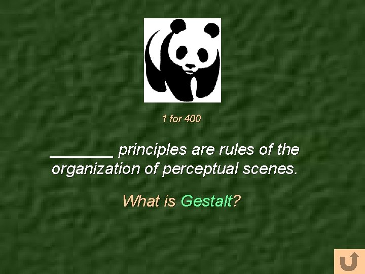 1 for 400 _______ principles are rules of the organization of perceptual scenes. What
