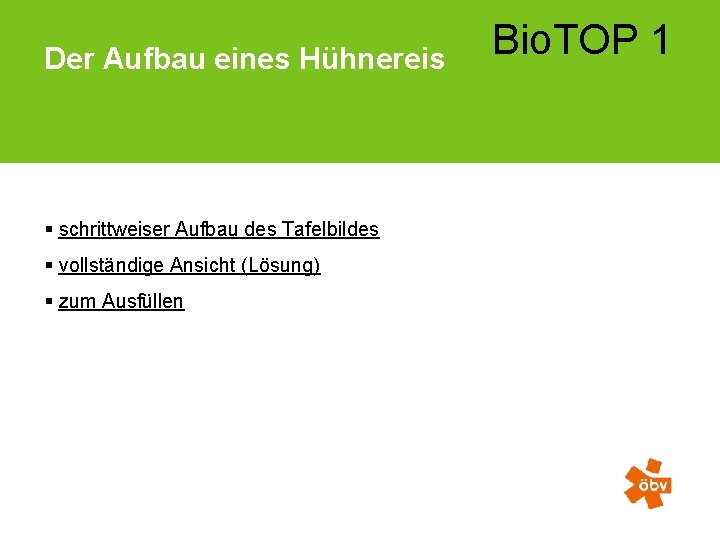 Der Aufbau eines Hühnereis § schrittweiser Aufbau des Tafelbildes § vollständige Ansicht (Lösung) §