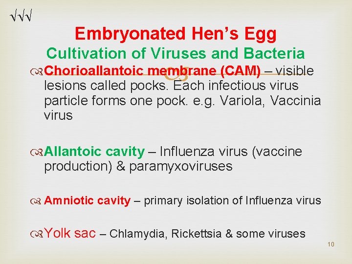 Embryonated Hen’s Egg Cultivation of Viruses and Bacteria Chorioallantoic membrane (CAM) – visible Embryonated Hen’s Egg Cultivation of Viruses and Bacteria Chorioallantoic membrane (CAM) – visible