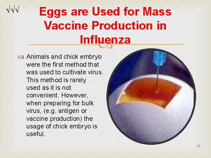 Eggs are Used for Mass Vaccine Production in Influenza Animals and chick embryo Eggs are Used for Mass Vaccine Production in Influenza Animals and chick embryo