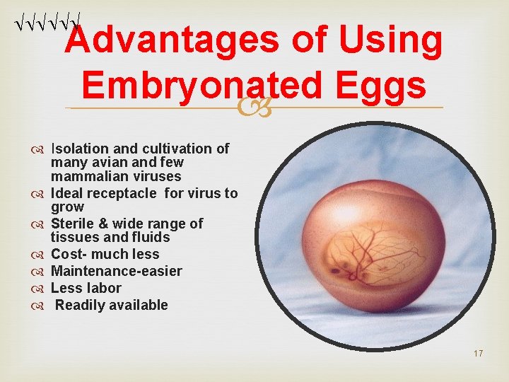 Advantages of Using Embryonated Eggs Isolation and cultivation of many avian and few Advantages of Using Embryonated Eggs Isolation and cultivation of many avian and few