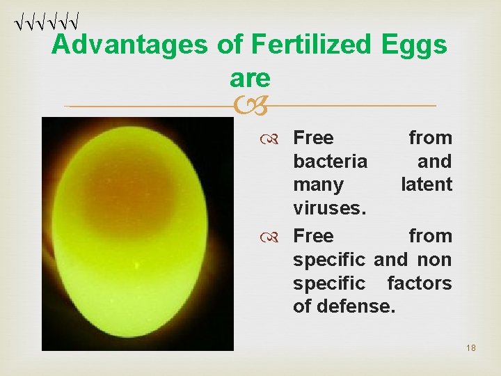 Advantages of Fertilized Eggs are Free from bacteria and many latent viruses. Free Advantages of Fertilized Eggs are Free from bacteria and many latent viruses. Free