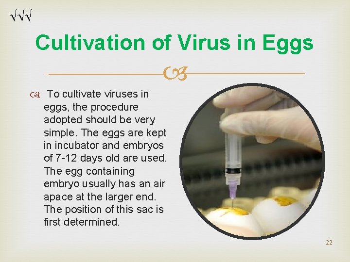 Cultivation of Virus in Eggs To cultivate viruses in eggs, the procedure adopted Cultivation of Virus in Eggs To cultivate viruses in eggs, the procedure adopted