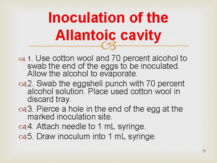 Inoculation of the Allantoic cavity 1. Use cotton wool and 70 percent alcohol to Inoculation of the Allantoic cavity 1. Use cotton wool and 70 percent alcohol to