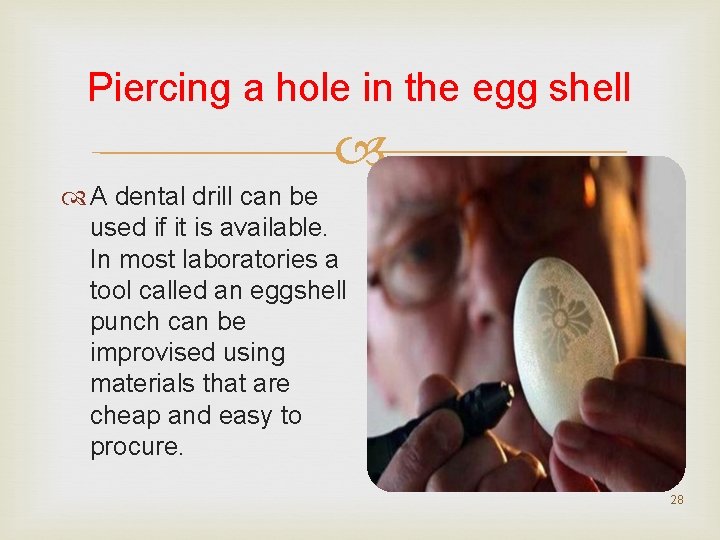 Piercing a hole in the egg shell A dental drill can be used if Piercing a hole in the egg shell A dental drill can be used if