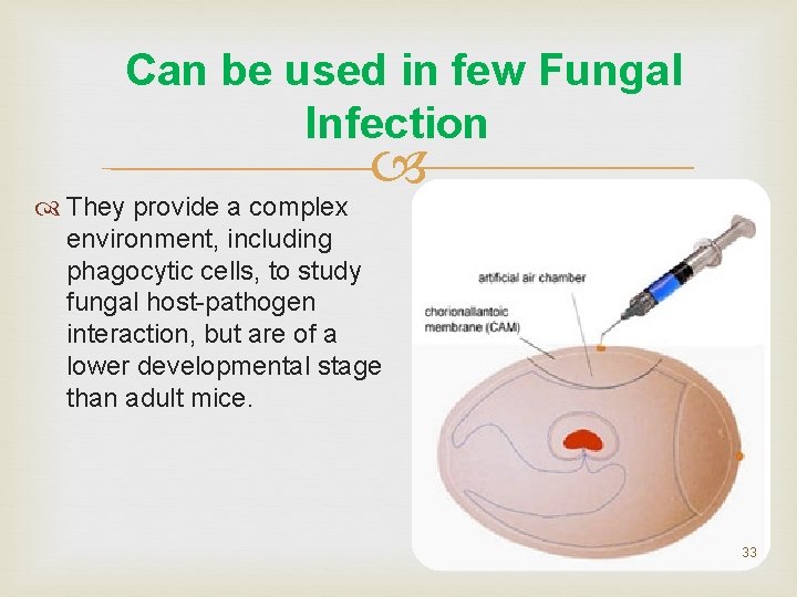 Can be used in few Fungal Infection They provide a complex environment, including phagocytic Can be used in few Fungal Infection They provide a complex environment, including phagocytic
