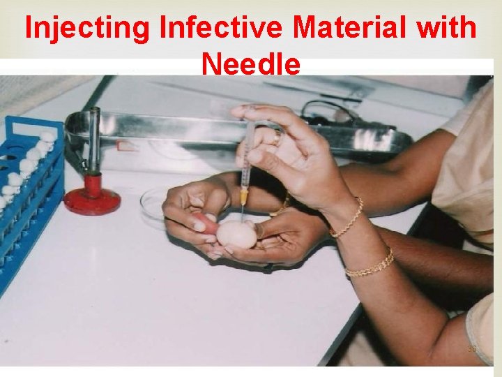 Injecting Infective Material with Needle 36 Injecting Infective Material with Needle 36