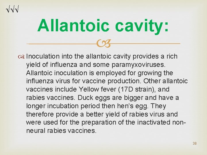 Allantoic cavity: Inoculation into the allantoic cavity provides a rich yield of influenza Allantoic cavity: Inoculation into the allantoic cavity provides a rich yield of influenza