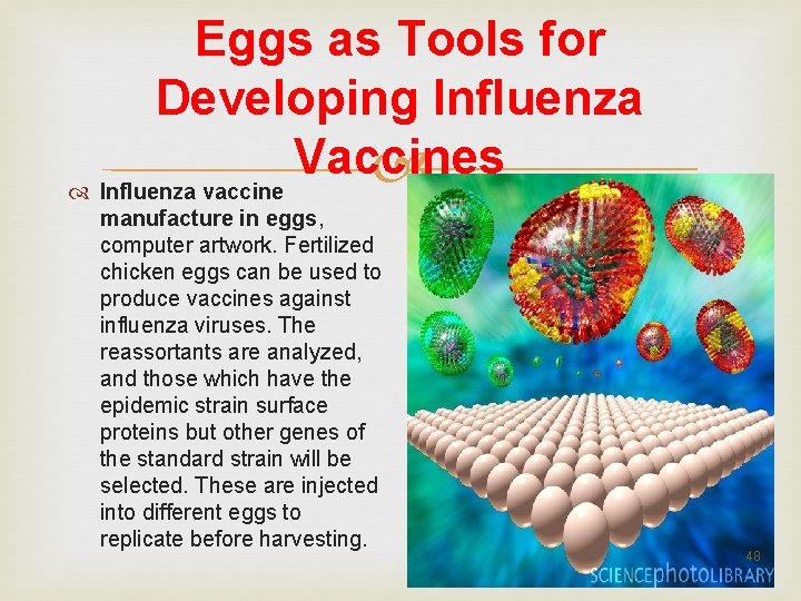 Eggs as Tools for Developing Influenza Vaccines Influenza vaccine manufacture in eggs, computer artwork. Eggs as Tools for Developing Influenza Vaccines Influenza vaccine manufacture in eggs, computer artwork.