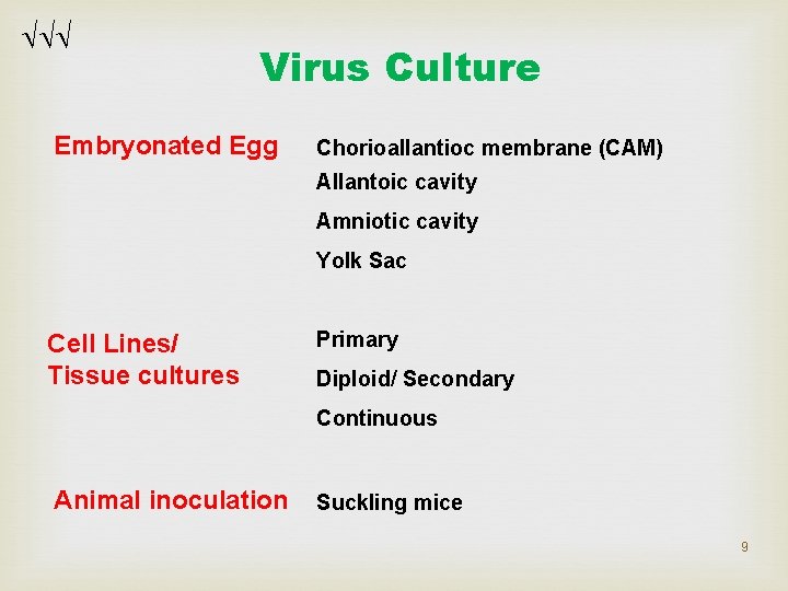 Virus Culture Embryonated Egg Chorioallantioc membrane (CAM) Allantoic cavity Amniotic cavity Yolk Sac Virus Culture Embryonated Egg Chorioallantioc membrane (CAM) Allantoic cavity Amniotic cavity Yolk Sac