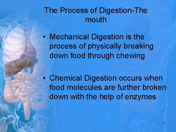 The Process of Digestion-The mouth • Mechanical Digestion is the process of physically breaking