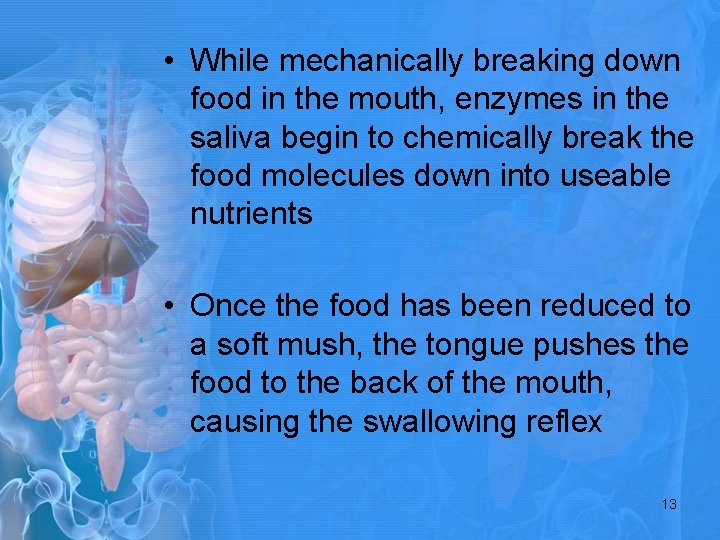  • While mechanically breaking down food in the mouth, enzymes in the saliva