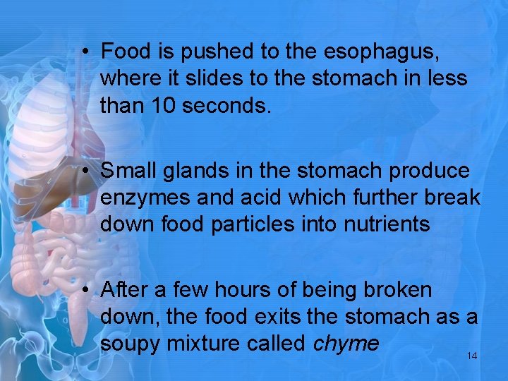  • Food is pushed to the esophagus, where it slides to the stomach
