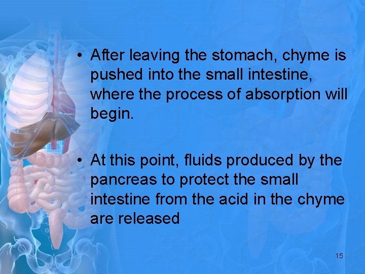  • After leaving the stomach, chyme is pushed into the small intestine, where