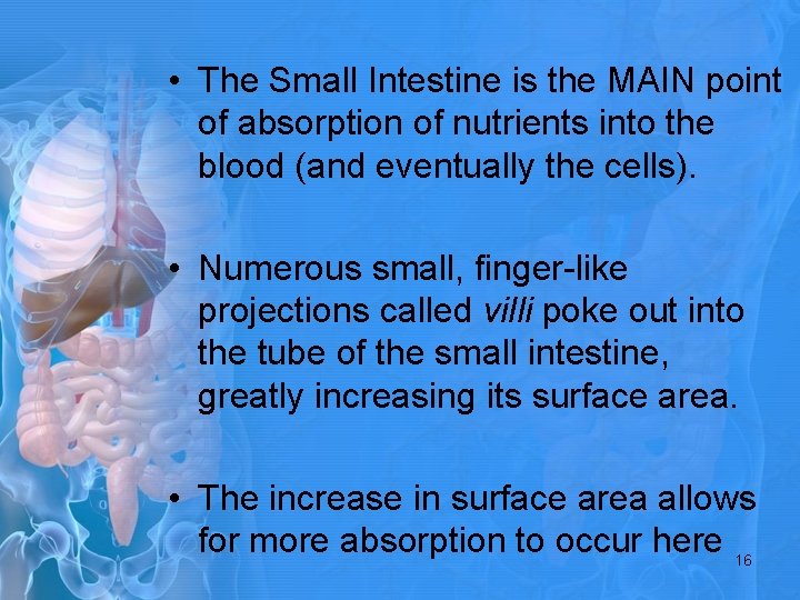  • The Small Intestine is the MAIN point of absorption of nutrients into