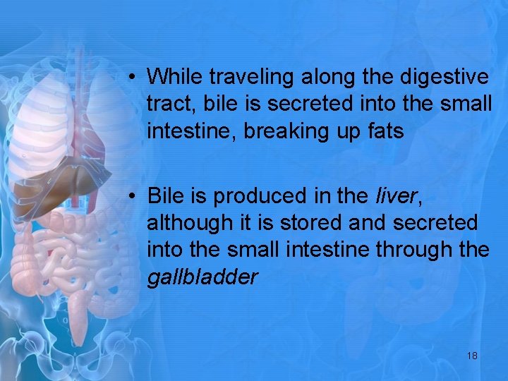  • While traveling along the digestive tract, bile is secreted into the small