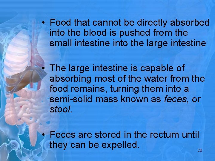  • Food that cannot be directly absorbed into the blood is pushed from