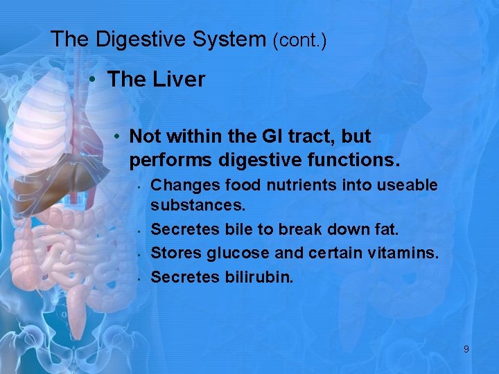 The Digestive System (cont. ) • The Liver • Not within the GI tract,