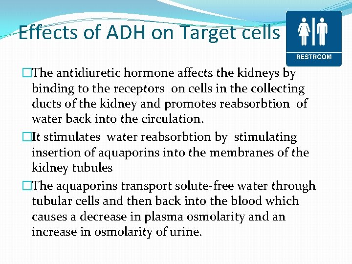 Effects of ADH on Target cells �The antidiuretic hormone affects the kidneys by binding