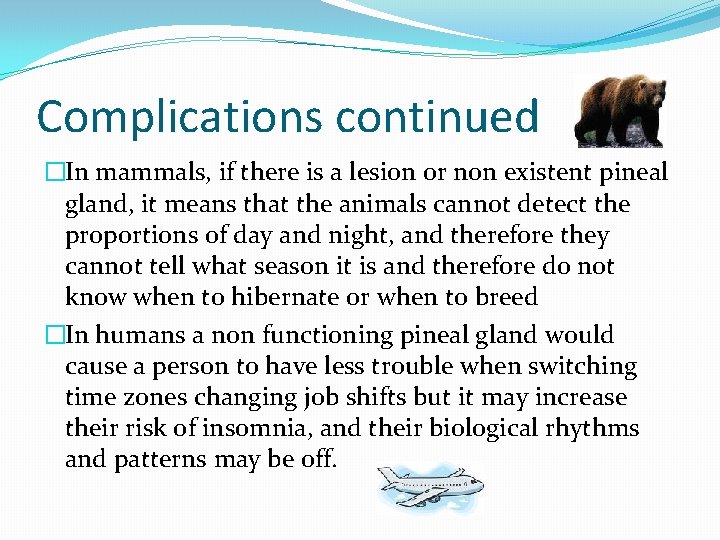 Complications continued �In mammals, if there is a lesion or non existent pineal gland,
